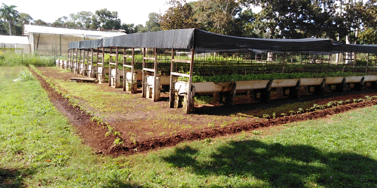 Congreso Científico
