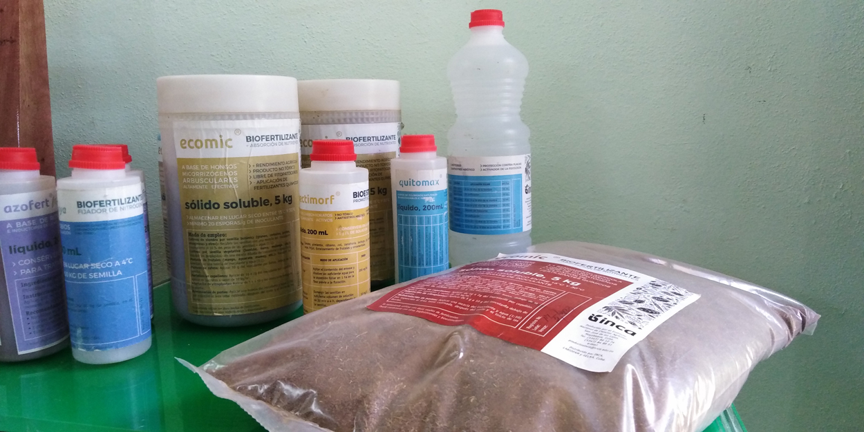 Congreso Científico