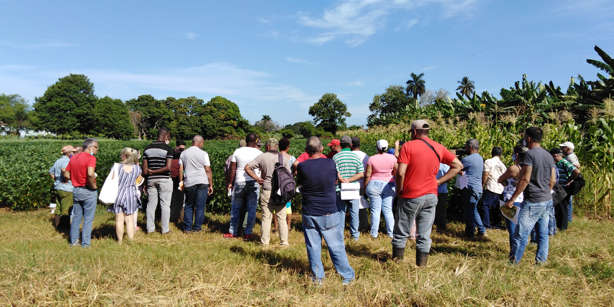 Congreso Científico