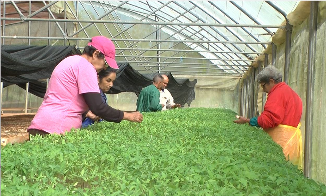 Congreso Científico
